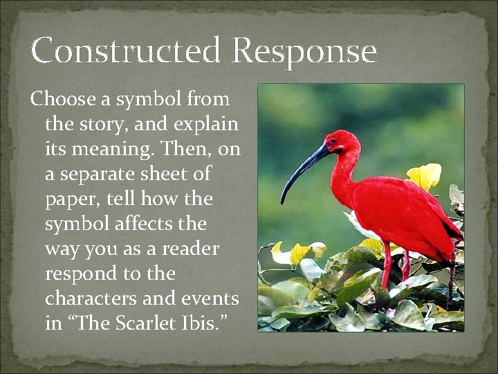 Constructed Response Choose a symbol from the story, and explain its meaning. Then, on