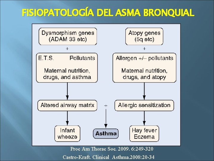 FISIOPATOLOGÍA DEL ASMA BRONQUIAL Proc Am Thorac Soc. 2009. 6: 249 -320 Castro-Kraft. Clinical