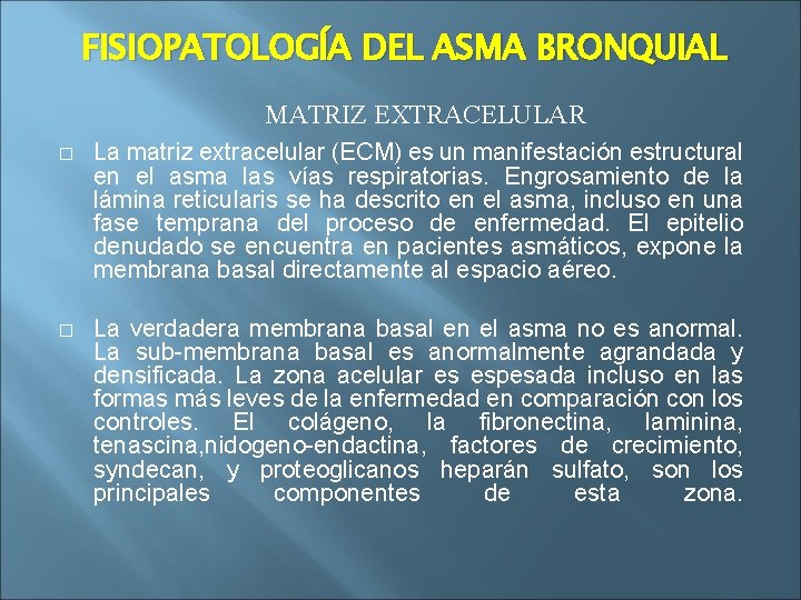 FISIOPATOLOGÍA DEL ASMA BRONQUIAL MATRIZ EXTRACELULAR � La matriz extracelular (ECM) es un manifestación