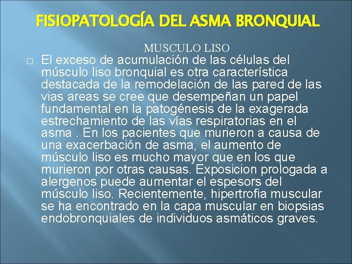 FISIOPATOLOGÍA DEL ASMA BRONQUIAL MUSCULO LISO � El exceso de acumulación de las células