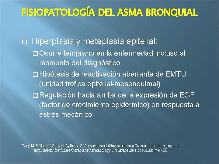 FISIOPATOLOGÍA DEL ASMA BRONQUIAL � Hiperplasia y metaplasia epitelial: � Ocurre temprano en la