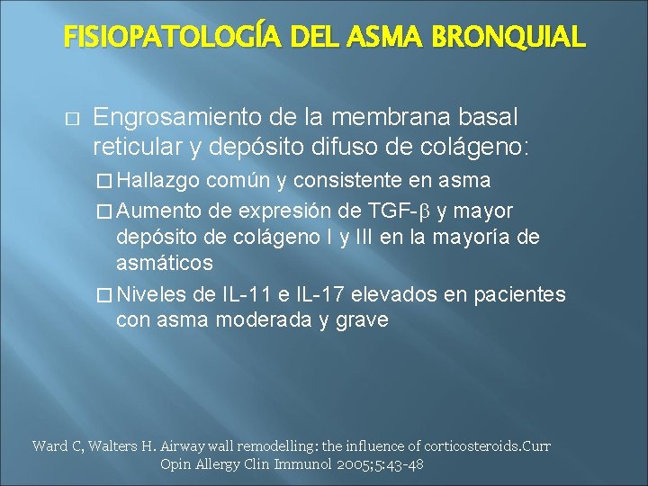 FISIOPATOLOGÍA DEL ASMA BRONQUIAL � Engrosamiento de la membrana basal reticular y depósito difuso
