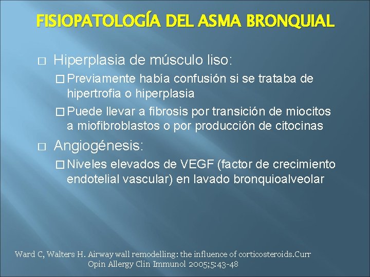 FISIOPATOLOGÍA DEL ASMA BRONQUIAL � Hiperplasia de músculo liso: � Previamente había confusión si