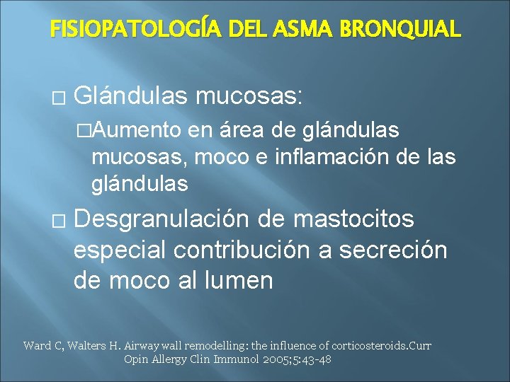 FISIOPATOLOGÍA DEL ASMA BRONQUIAL � Glándulas mucosas: �Aumento en área de glándulas mucosas, moco