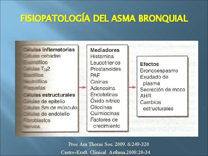 FISIOPATOLOGÍA DEL ASMA BRONQUIAL Proc Am Thorac Soc. 2009. 6: 249 -320 Castro-Kraft. Clinical