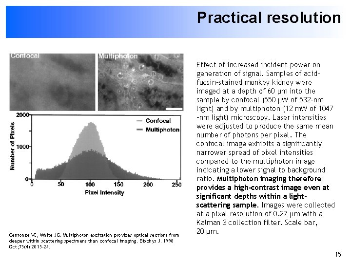 Practical resolution Centonze VE, White JG. Multiphoton excitation provides optical sections from deeper within