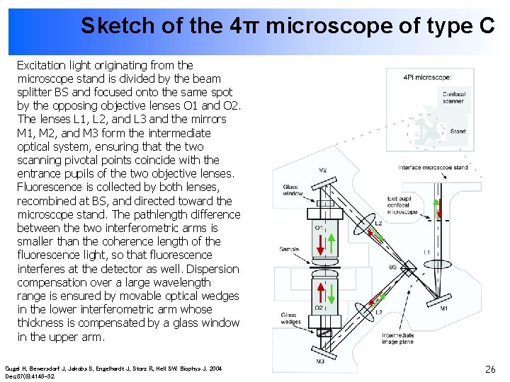 Sketch of the 4π microscope of type C Excitation light originating from the microscope