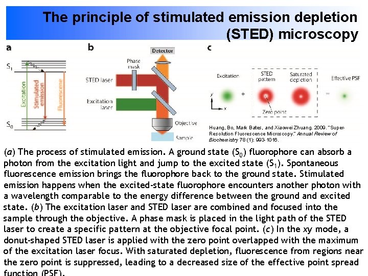 The principle of stimulated emission depletion (STED) microscopy Huang, Bo, Mark Bates, and Xiaowei