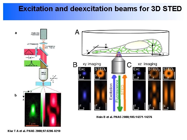 Excitation and deexcitation beams for 3 D STED Hein B et al. PNAS 2008;