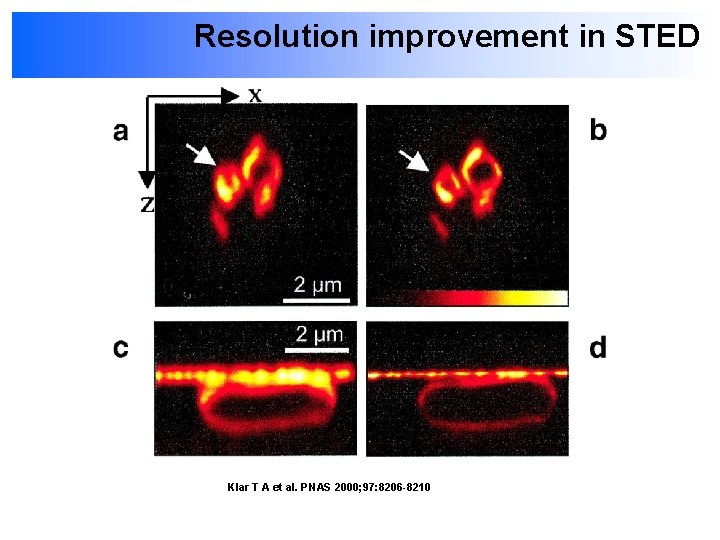 Resolution improvement in STED Klar T A et al. PNAS 2000; 97: 8206 -8210