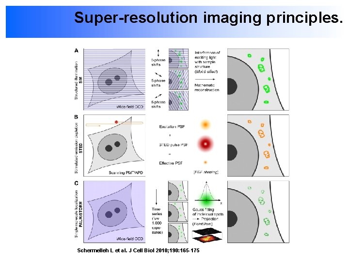 Super-resolution imaging principles. Schermelleh L et al. J Cell Biol 2010; 190: 165 -175