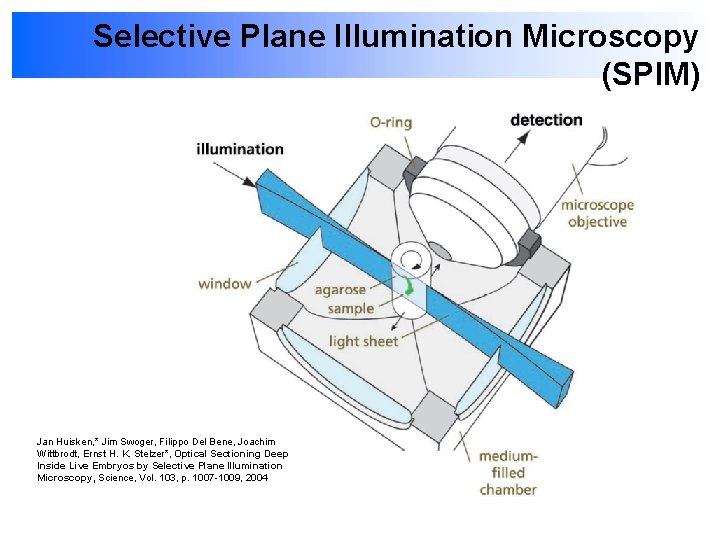 Selective Plane Illumination Microscopy (SPIM) Jan Huisken, * Jim Swoger, Filippo Del Bene, Joachim