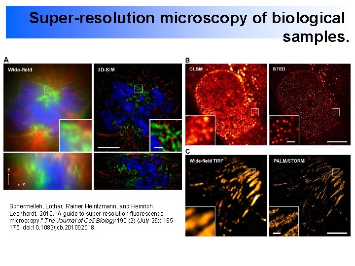 Super-resolution microscopy of biological samples. Schermelleh, Lothar, Rainer Heintzmann, and Heinrich Leonhardt. 2010. “A
