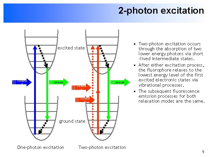2 -photon excitation excited state excitatio n emission excitatio n • Two-photon excitation occurs
