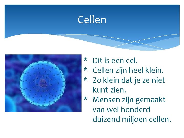 Cellen * Dit is een cel. * Cellen zijn heel klein. * Zo klein