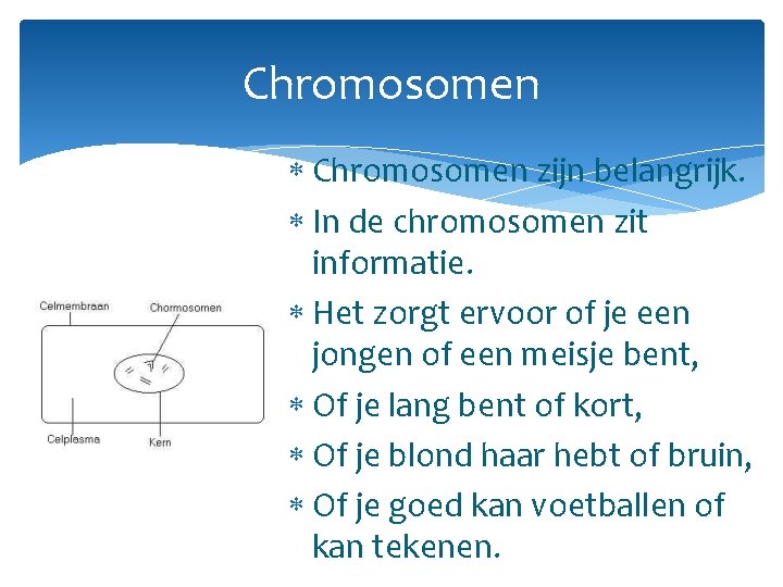 Chromosomen zijn belangrijk. In de chromosomen zit informatie. Het zorgt ervoor of je een