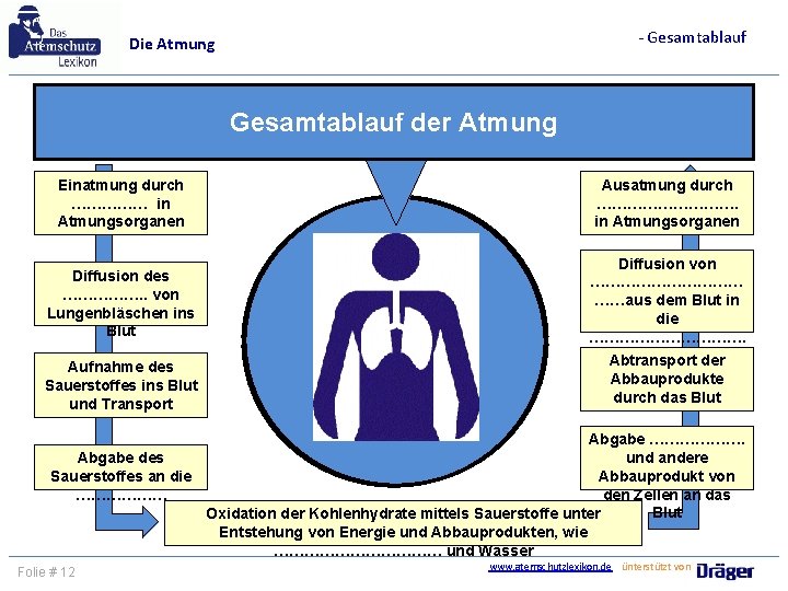 - Gesamtablauf Die Atmung Gesamtablauf der Atmung Einatmung durch …………… in Atmungsorganen Ausatmung durch