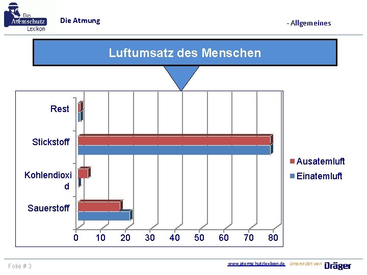 Die Atmung - Allgemeines Luftumsatz des Menschen Rest Stickstoff Ausatemluft Kohlendioxi d Einatemluft Sauerstoff