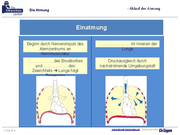 - Ablauf der Atmung Die Atmung Einatmung Folie # 8 Beginn durch Nervenimpuls des