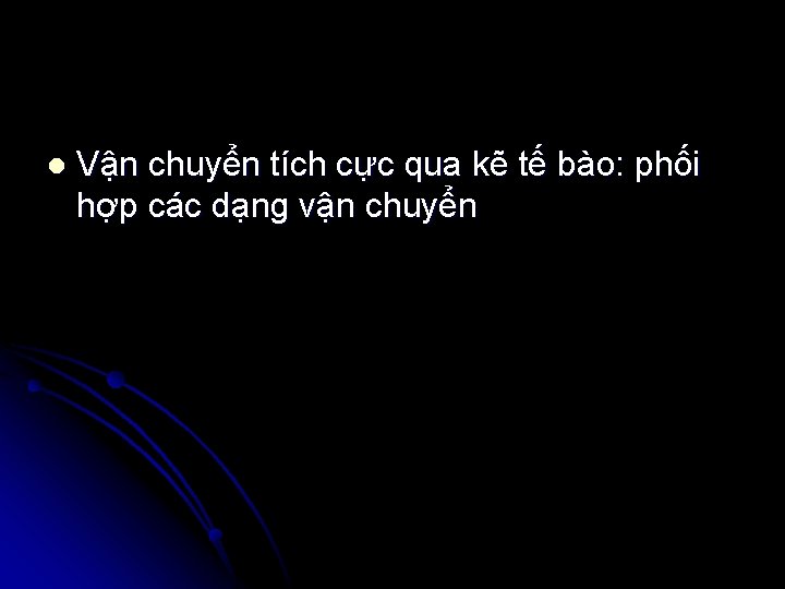 l Vận chuyển tích cực qua kẽ tế bào: phối hợp các dạng vận