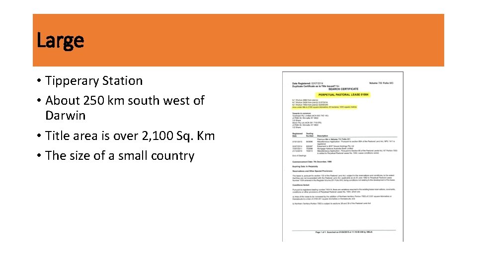 Large • Tipperary Station • About 250 km south west of Darwin • Title