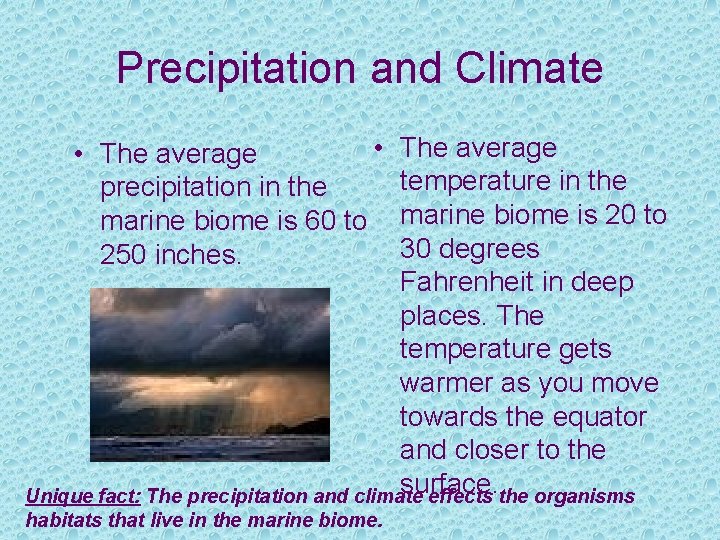 Precipitation and Climate • • The average precipitation in the marine biome is 60