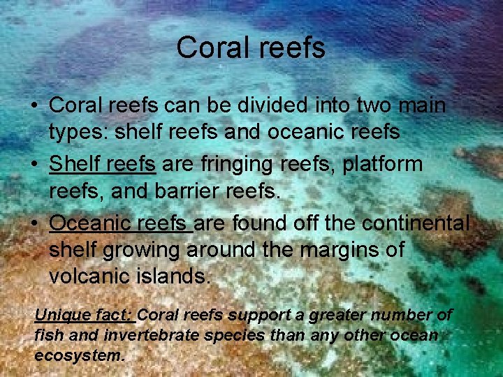 Coral reefs • Coral reefs can be divided into two main types: shelf reefs