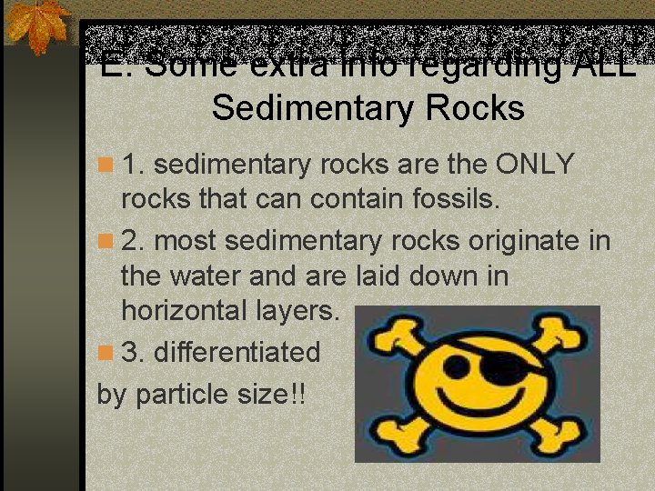 E. Some extra info regarding ALL Sedimentary Rocks n 1. sedimentary rocks are the