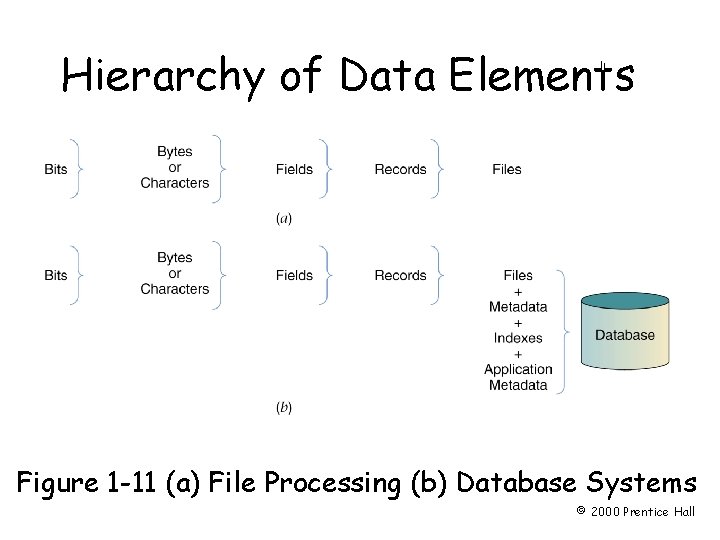 Chapter 1 Hierarchy of Data Elements Figure Page 161 -11 (a) File Processing (b)