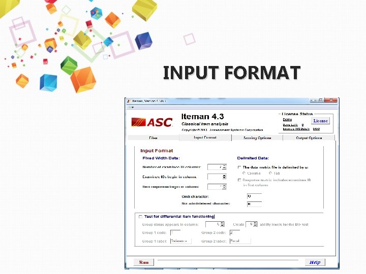 INPUT FORMAT 