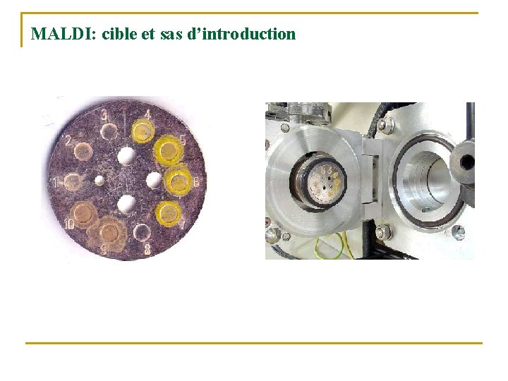 MALDI: cible et sas d’introduction 