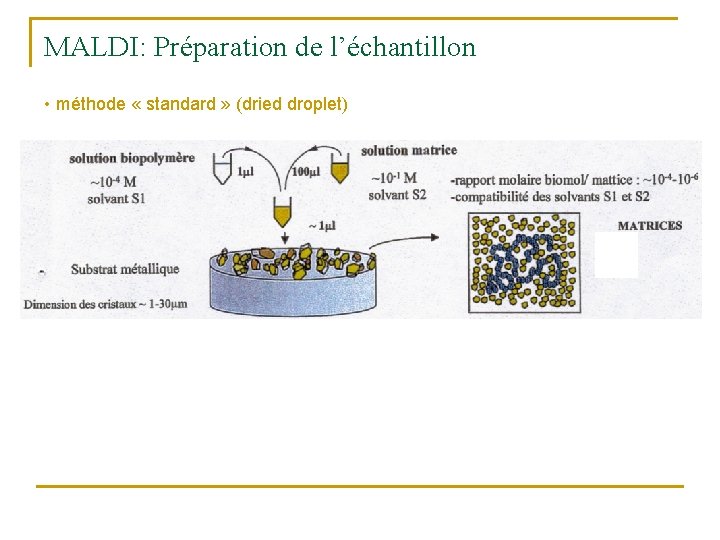 MALDI: Préparation de l’échantillon • méthode « standard » (dried droplet) 