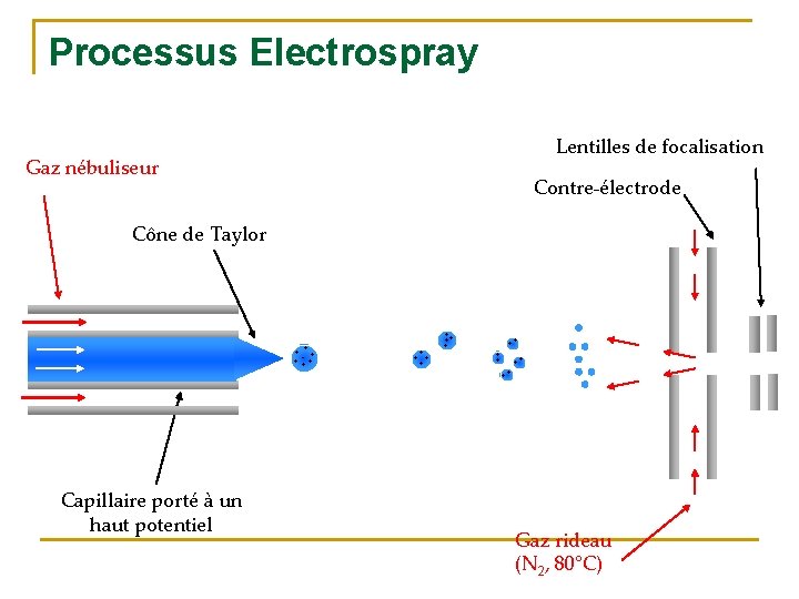 Processus Electrospray Lentilles de focalisation Gaz nébuliseur Contre-électrode Cône de Taylor + + -