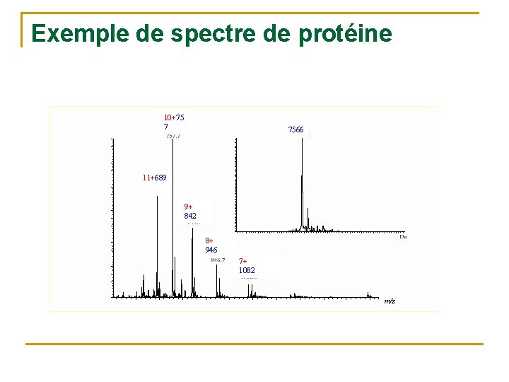 Exemple de spectre de protéine 10+75 7 7566 11+689 9+ 842 8+ 946 7+