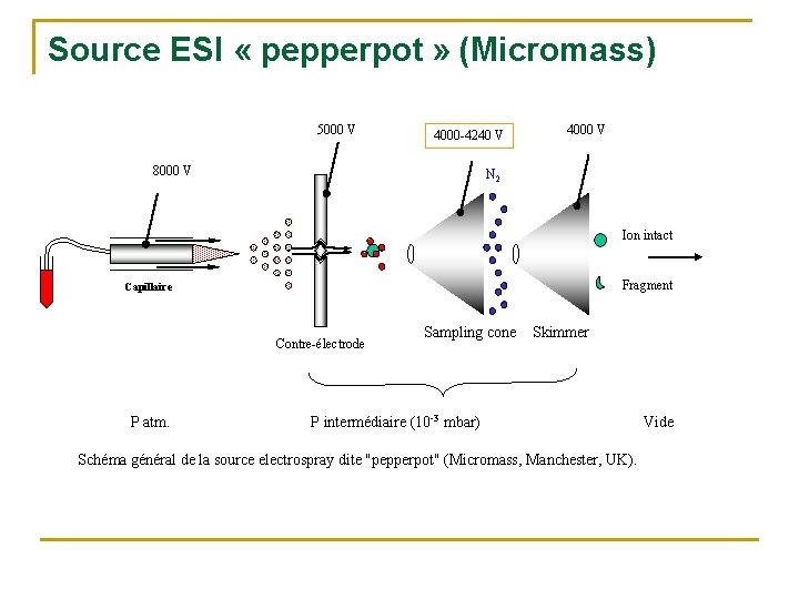 Source ESI « pepperpot » (Micromass) 5000 V 4000 -4240 V 8000 V 4000