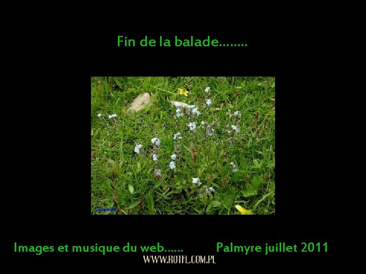 Fin de la balade……. . Images et musique du web…… Palmyre juillet 2011 