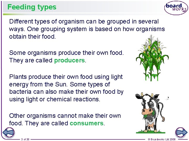 Feeding types Different types of organism can be grouped in several ways. One grouping