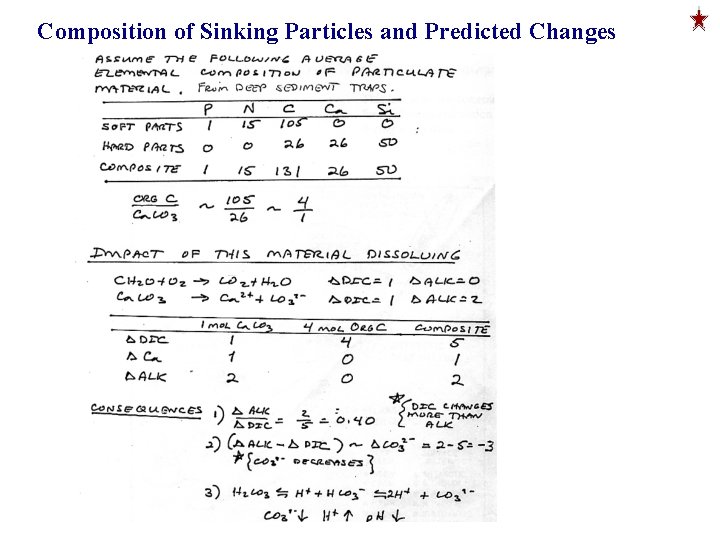 Composition of Sinking Particles and Predicted Changes 