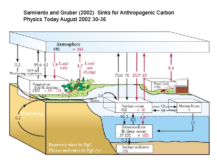 Sarmiento and Gruber (2002) Sinks for Anthropogenic Carbon Physics Today August 2002 30 -36