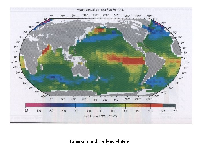 Emerson and Hedges Plate 8 