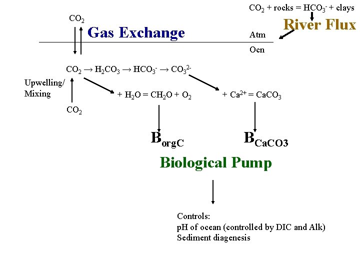 CO 2 + rocks = HCO 3 - + clays Gas Exchange Atm River