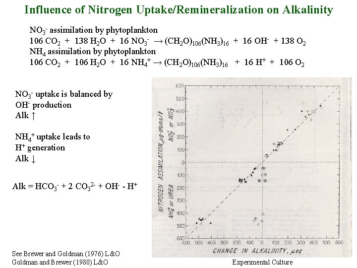 Influence of Nitrogen Uptake/Remineralization on Alkalinity NO 3 - assimilation by phytoplankton 106 CO