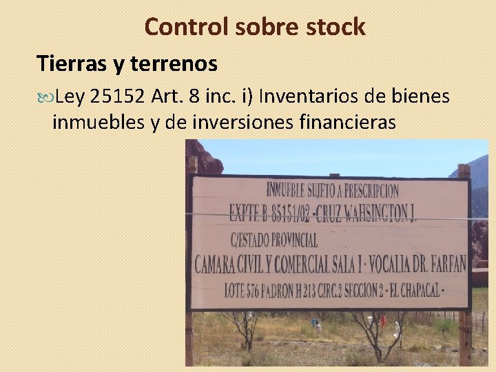 Control sobre stock Tierras y terrenos Ley 25152 Art. 8 inc. i) Inventarios de