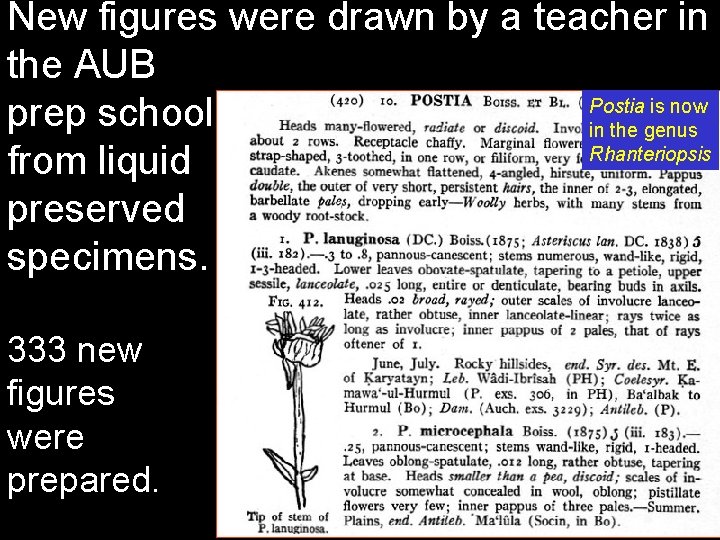New figures were drawn by a teacher in the AUB Postia is now prep