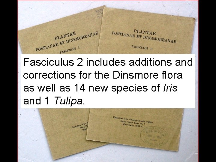 Fasciculus 2 includes additions and corrections for the Dinsmore flora as well as 14
