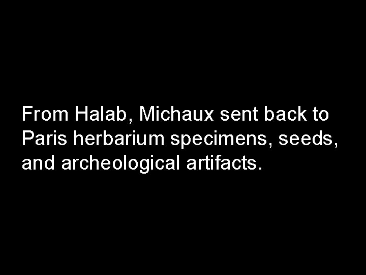 From Halab, Michaux sent back to Paris herbarium specimens, seeds, and archeological artifacts. 