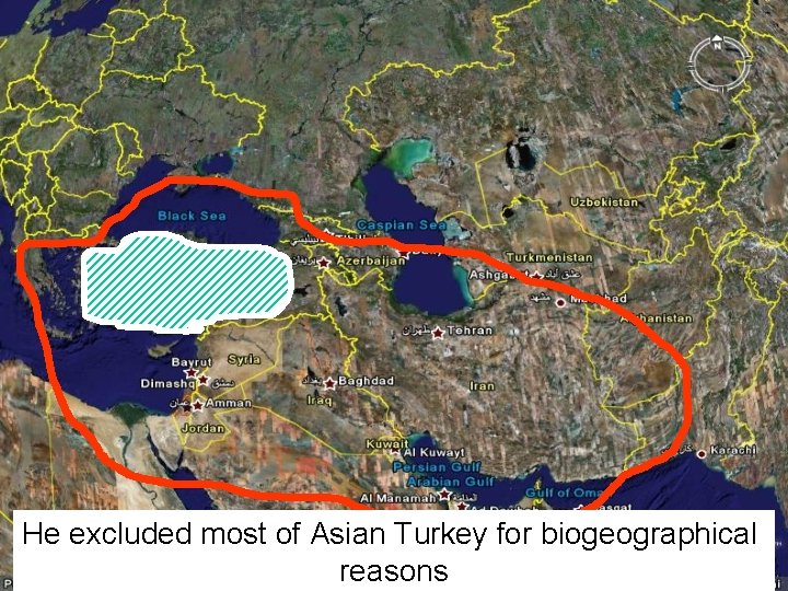 He excluded most of Asian Turkey for biogeographical reasons 