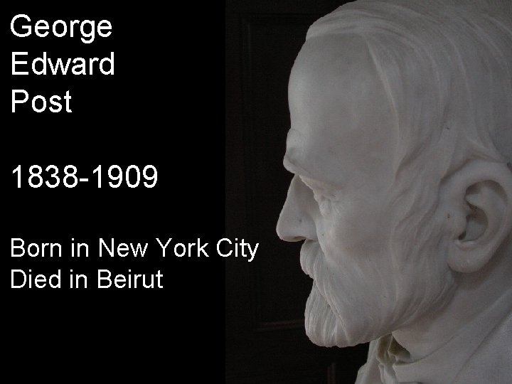 George Edward Post 1838 -1909 Born in New York City Died in Beirut 
