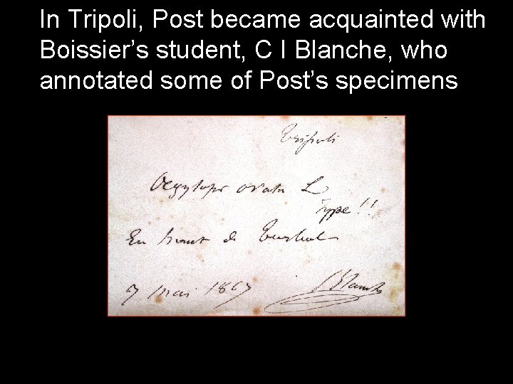 In Tripoli, Post became acquainted with Boissier’s student, C I Blanche, who annotated some