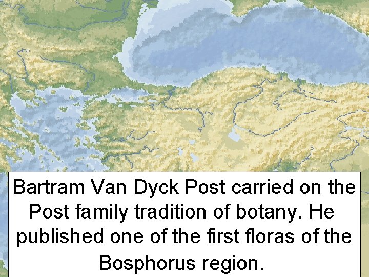 Bartram Van Dyck Post carried on the Post family tradition of botany. He published